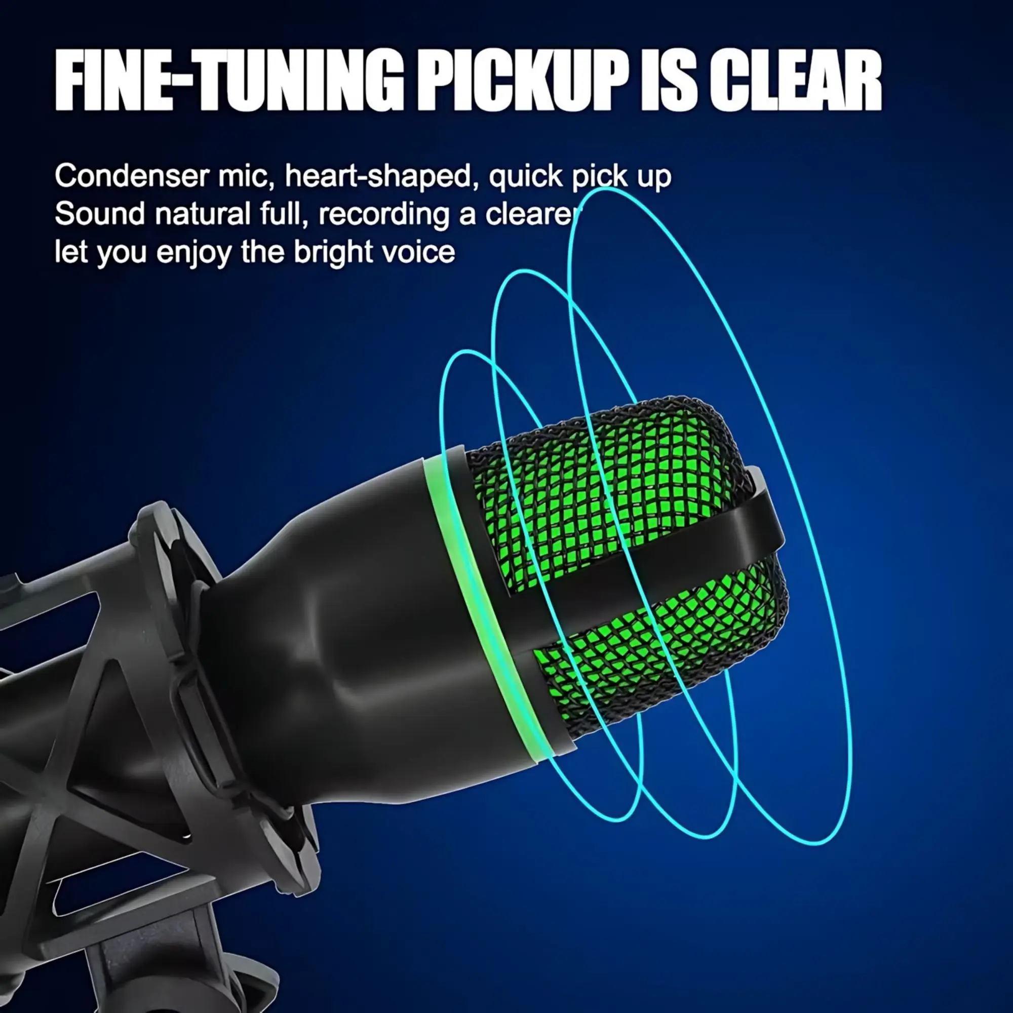 Professional USB Condenser Mic - Condenser Microphone Kit review and price