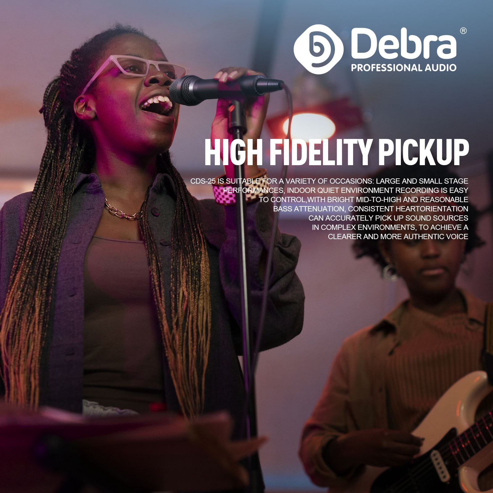 Debra CDS-25 Professional Cond - Condenser Microphone Kit review and price