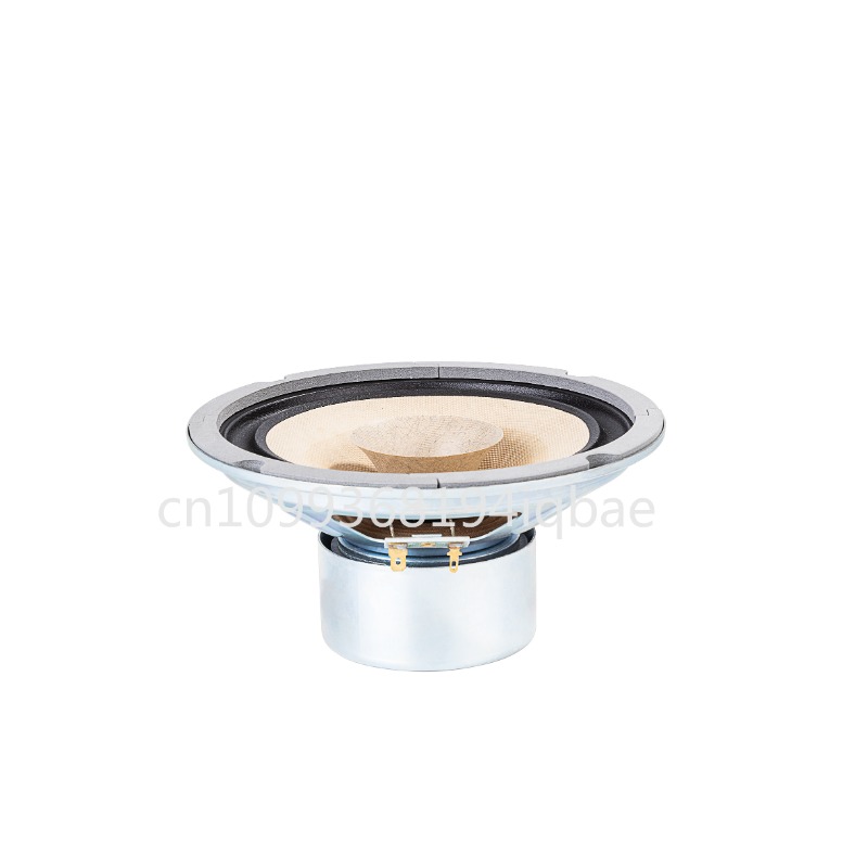 A pair Lii Song 8-inch 8 ohms  - Diy Speaker review and price