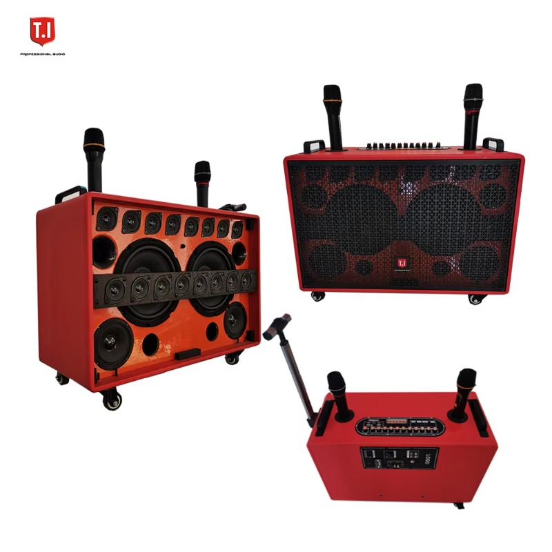 Portable Multi-Driver Mini Mus - Speaker Driver review and price