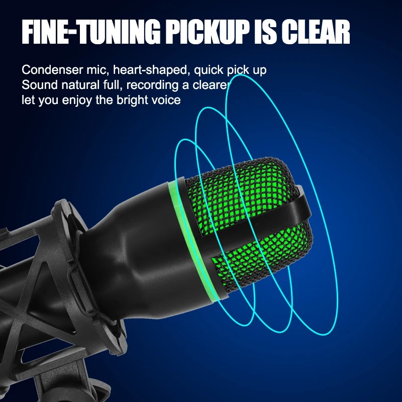 Professional USB Condenser Mic - Condenser Microphone Kit review and price