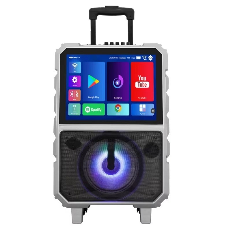 40W High Power Karaoke Machine - Subwoofer review and price