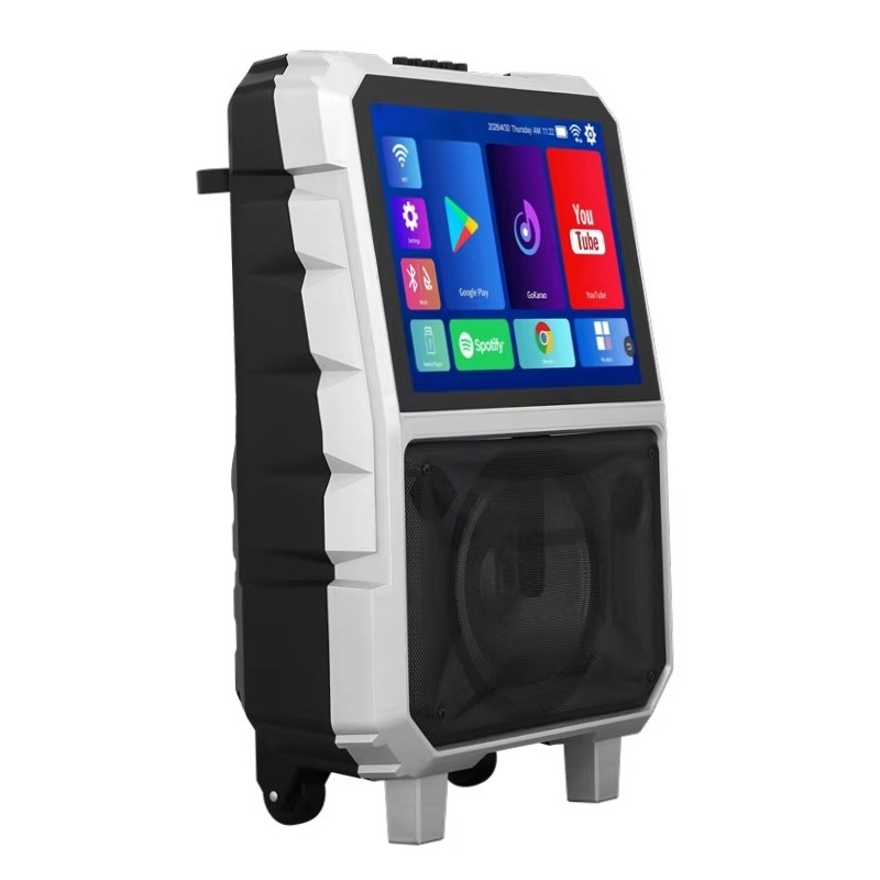 40W High Power Karaoke Machine - Subwoofer review and price