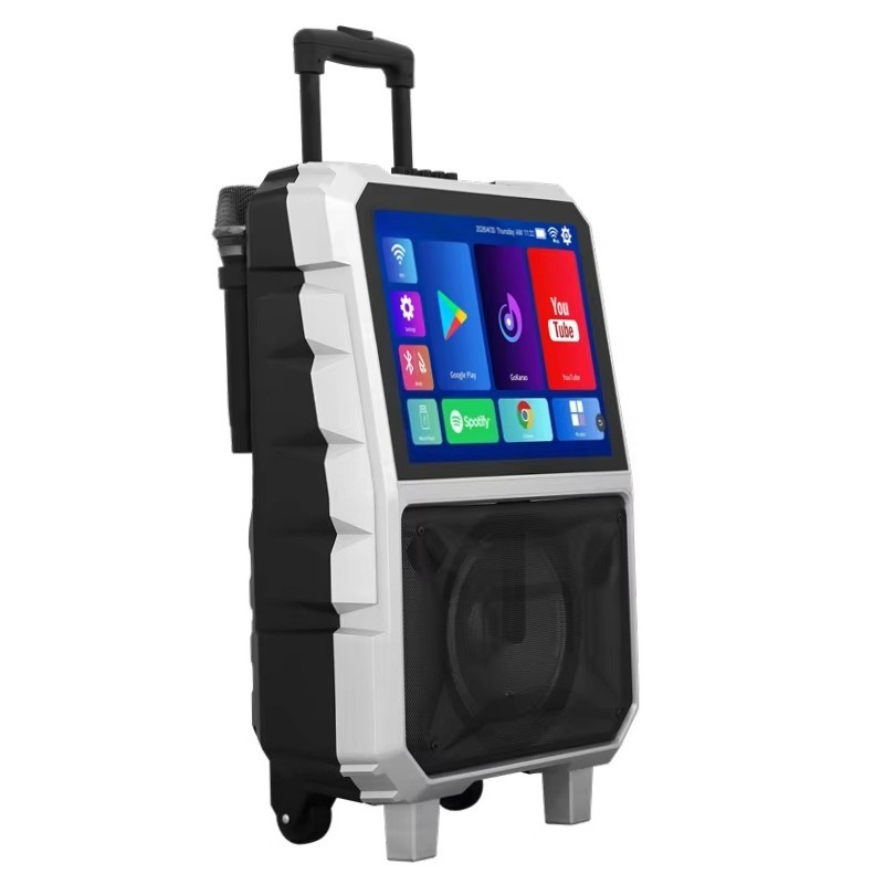 40W High Power Karaoke Machine - Subwoofer review and price
