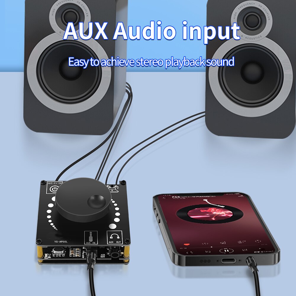 Power Amplifier Board Stereo D - Hifi Amplifier Board review and price